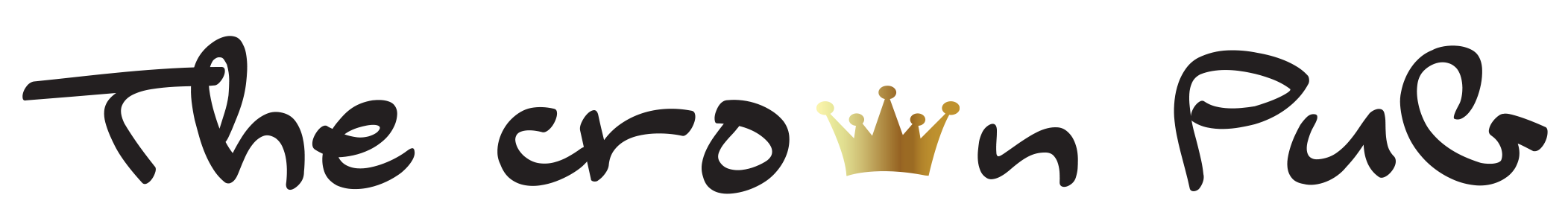 LogoPubSalvoBianco_png-1
